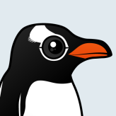 Gentoo Penguin