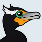 Double-crested Cormorant