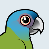 Blue-headed Macaw