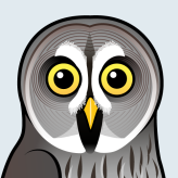 Great Grey Owl
