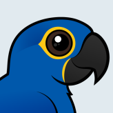 Hyacinth Macaw