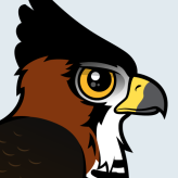 Ornate Hawk-Eagle
