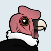 Andean Condor