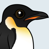 Emperor Penguin