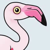Greater Flamingo