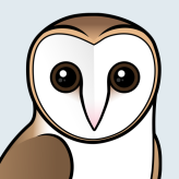 Barn Owl