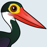 Storm's Stork