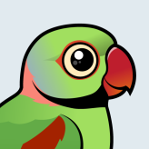 Alexandrine Parakeet