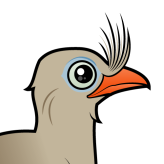 Red-legged Seriema