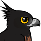 Black-and-chestnut Eagle