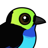 Paradise Tanager