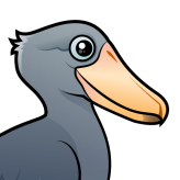 Shoebill