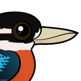 Rufous-bellied Kookaburra