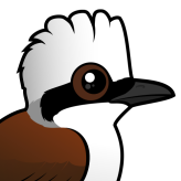 White-crested Laughingthrush