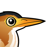 Least Bittern