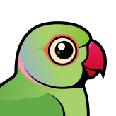 Rose-ringed Parakeet
