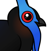Bulwer's Pheasant