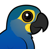 Indigo Macaw
