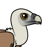 Eurasian Griffon