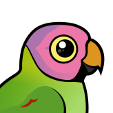Blossom-headed Parakeet
