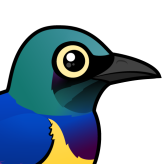 Golden-breasted Starling
