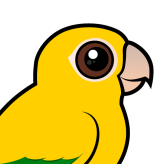 Golden Parakeet