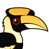 Great Hornbill
