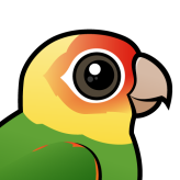 Carolina Parakeet