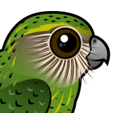 Kakapo