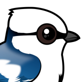 Azure Tit