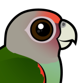 Uncape Parrot