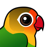 Fischer's Lovebird
