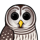 Barred Owl
