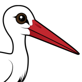 White Stork