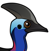 Southern Cassowary