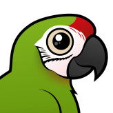 Great Green Macaw