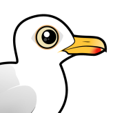 Glaucous Gull