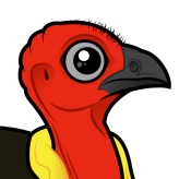 Australian Brushturkey