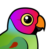 Plum-headed Parakeet