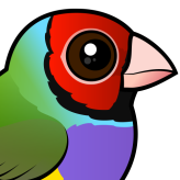 Gouldian Finch