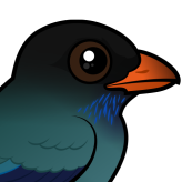 Dollarbird