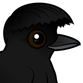 Long-wattled Umbrellabird
