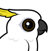 Sulphur-crested Cockatoo
