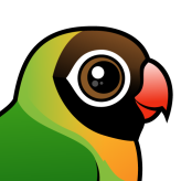 Black-cheeked Lovebird