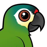 Blue-winged Macaw