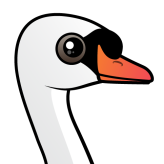 Mute Swan