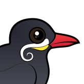 Inca Tern