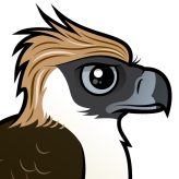 Philippine Eagle