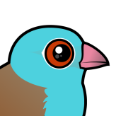 Blue-capped Cordonbleu