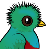 Resplendent Quetzal